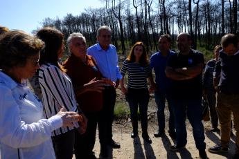 Visita ao Pinhal de Leiria