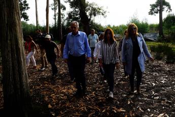 Propostas para reverter os problemas na floresta