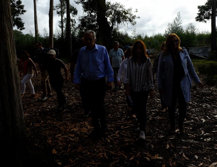 Visita ao Pinhal de Leiria