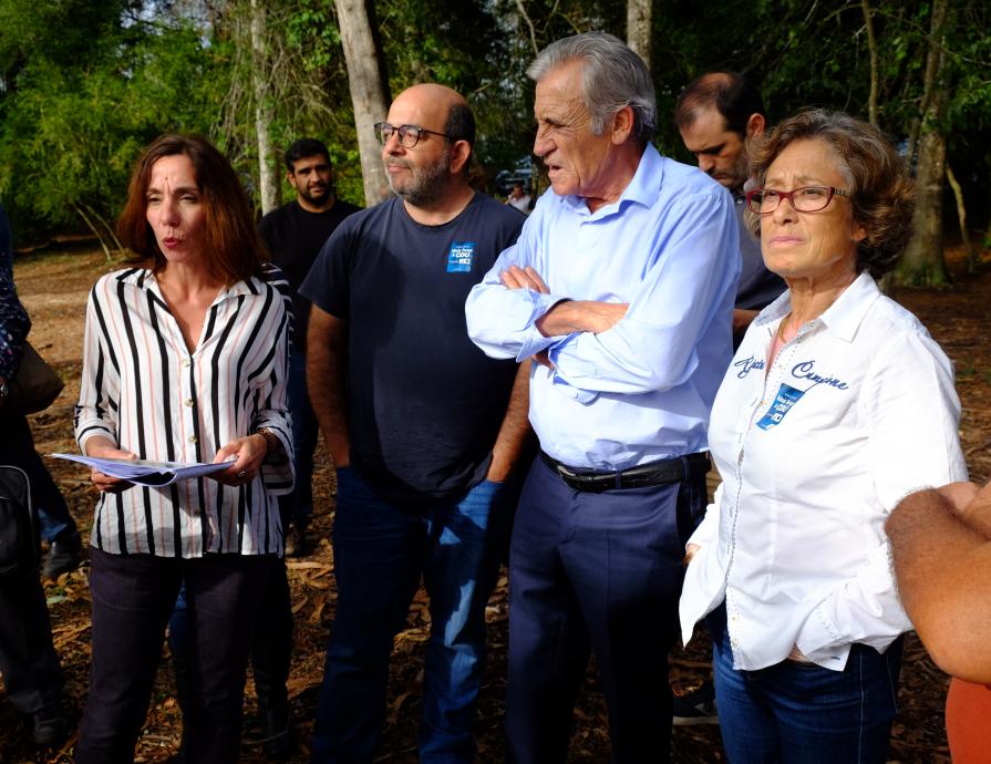 Visita ao Pinhal de Leiria