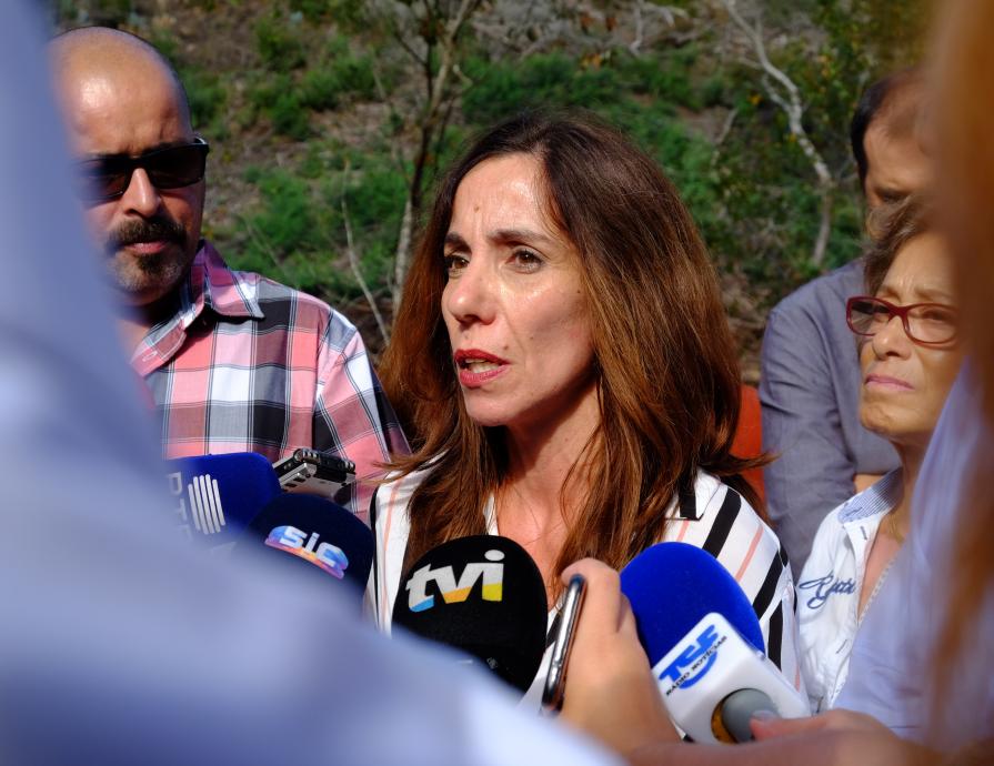 Visita ao Pinhal de Leiria