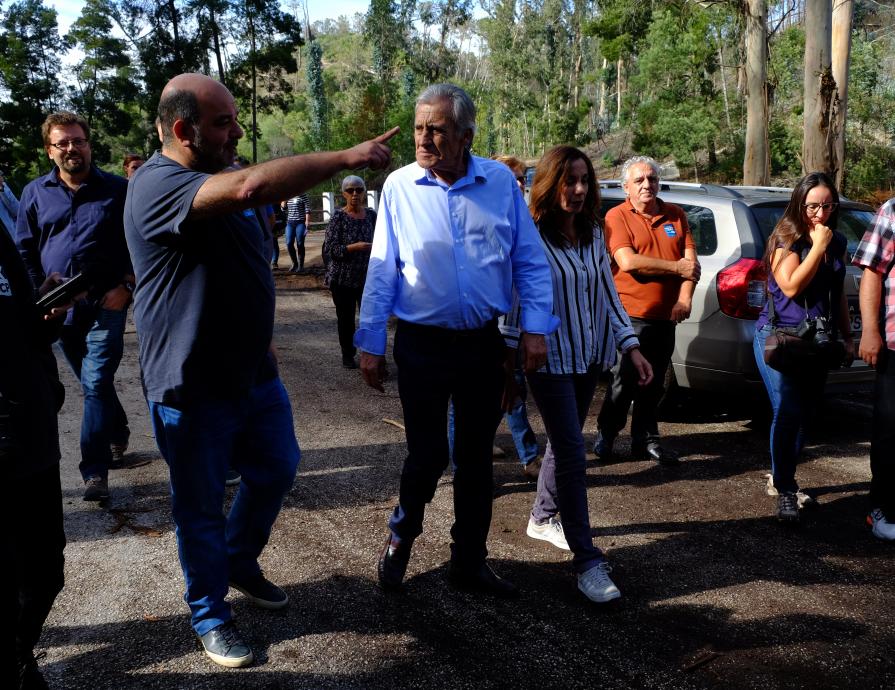 Visita ao Pinhal de Leiria