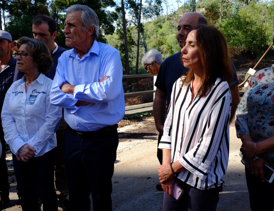 Visita ao Pinhal de Leiria