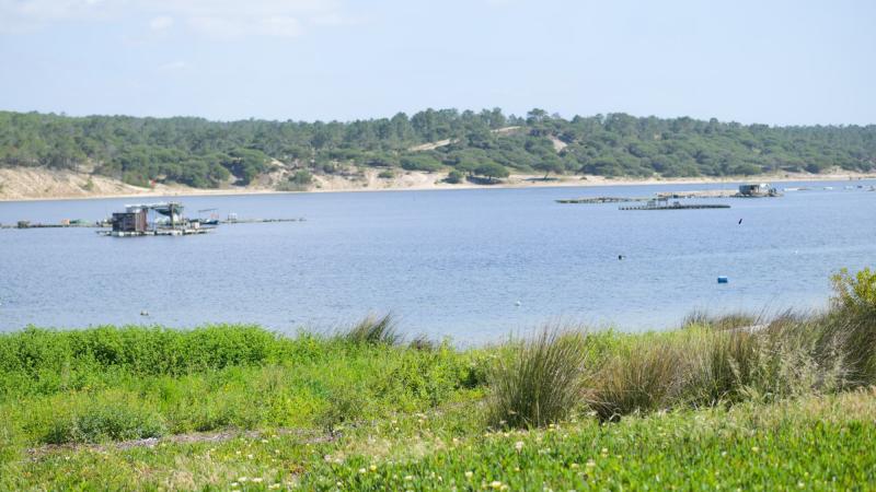 Visita à Lagoa de Albufeira