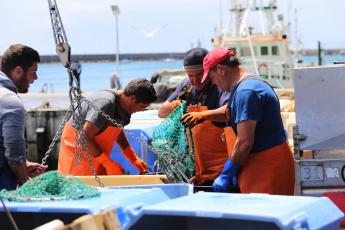 CDU volta a pedir clarificação sobre o que «andaram a fazer no PE»